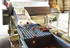 Stéphane distillant de l'alcool de fruits sur son alambic.